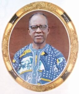 Professor Michael Ogunu